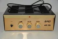 BEAG Eag AE-110 Guitar amplifier [August 5, 2019, 1:26 pm]