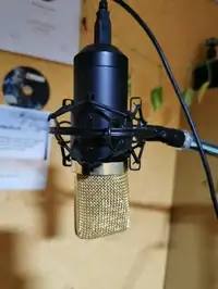 Auna MIC 900BG USB Studio microphone [November 8, 2019, 10:31 pm]