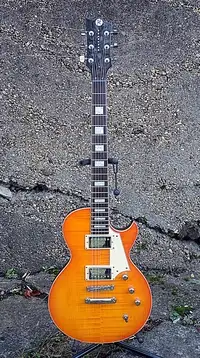 Reverend Roundhouse HB Les Paul Electric guitar [September 22, 2021, 6:07 pm]
