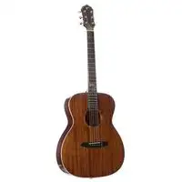FAME A-20 II Orchestra Electro-acoustic guitar [January 24, 2024, 2:58 pm]