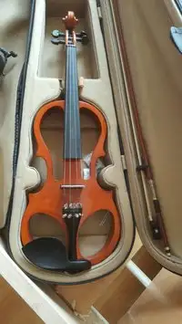 Classic Cantabile EV-81 Electric violin [May 16, 2020, 5:39 pm]