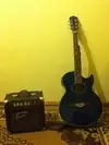 Invasion ADG310+AS10 Electro-acoustic guitar [January 4, 2012, 6:09 pm]