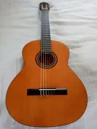 Encore N1226 Acoustic guitar [July 20, 2020, 10:35 am]