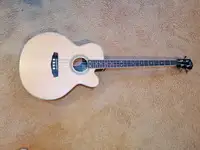 Jack and Danny Brothers  Electro-acoustic bass guitar [August 22, 2020, 1:53 pm]
