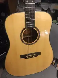 Crafter HiLITE D SPN Acoustic guitar [October 3, 2020, 10:02 am]
