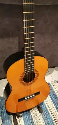 Toledo C-325 Classic guitar [November 20, 2020, 8:55 pm]