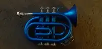 Roy Benson Roy Benson RBPT100G Bb Trumpet [November 23, 2020, 6:58 pm]