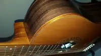 Strunal D977 M Electro-acoustic guitar [December 18, 2020, 3:26 pm]