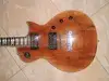 Santander LP Tuningolva Electric guitar [January 19, 2012, 1:58 pm]