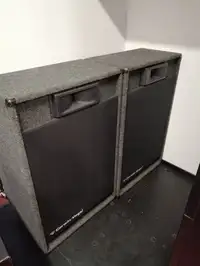 Cerwin Vega PD-18C Loudspeaker [February 8, 2021, 4:08 pm]