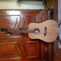 Strunal D 977 M Acoustic guitar [March 23, 2022, 12:24 pm]