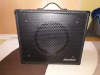 Silverblade V30 Guitar cabinet speaker [May 5, 2021, 11:59 am]