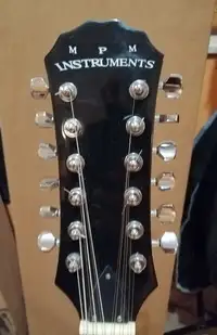 MPM instrument 12 húros Elektrická gitara 12 strún [May 17, 2021, 11:01 am]