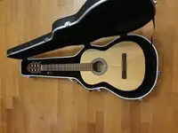 Strunal 4655 Acoustic guitar [July 5, 2021, 10:57 am]