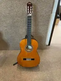 Valencia VC104 Akustická gitara [July 29, 2021, 4:56 pm]