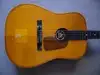 Lignatone Country Acoustic guitar [January 31, 2012, 3:34 pm]