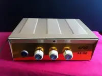 BEAG EAG AE-110 Guitar amplifier [September 7, 2021, 3:35 pm]