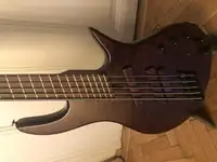 MLP Fanned Fret 5 húros Bass guitar 5 strings [December 27, 2021, 11:49 am]