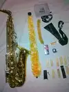 Kézzel készített SKY Concert Saxophon [February 15, 2012, 2:41 pm]