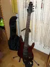 Vorson V190 Guitarra eléctrica [February 16, 2012, 4:43 pm]