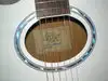 H&K  Electro-acoustic guitar [February 20, 2012, 3:23 pm]