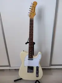 Baltimore Telecaster Electric guitar [July 13, 2022, 8:41 am]