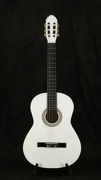 Toledo Primera Student E785E Classic guitar [September 13, 2022, 10:04 am]