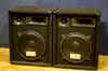 Auna Pw-1022 Speaker pair [February 22, 2012, 11:27 pm]