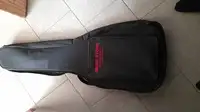 Music Store Professional Guitar case [August 23, 2022, 6:43 pm]