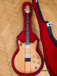 Vantage VS-650 Electric guitar [September 28, 2022, 11:17 am]