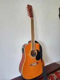Redhill D G2-12 Akustická gitara [October 7, 2022, 10:50 am]