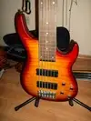 H&K SE 6-700 Fretless Bass guitar 6 strings [February 26, 2012, 6:51 pm]