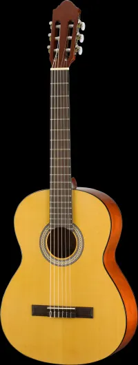 Walden WAN350W Classic guitar [June 7, 2024, 4:41 pm]