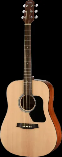 Walden WAD350W Acoustic guitar [June 7, 2024, 4:54 pm]