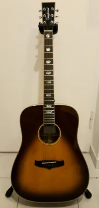 Tanglewood Evolution TW28 Akustikgitarre [November 20, 2022, 6:26 pm]