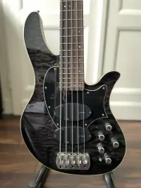 Clover Argo 5 Bass guitar 5 strings [December 8, 2022, 10:32 am]