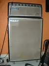ELKA TX-Bass 80 Bass amplifier head and cabinet [March 3, 2012, 2:46 pm]