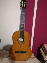 Valencia Vc204 Klasická gitara [January 11, 2023, 3:02 pm]