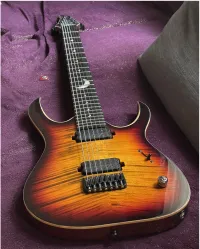 Mayones Duvell Custom shop 7-saitige E-Gitarre [April 7, 2023, 5:59 pm]