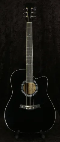MSA CW 191 Electro-acoustic guitar [April 30, 2023, 1:22 pm]