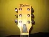 Bakers JAZZ Electric guitar [March 15, 2012, 12:55 pm]