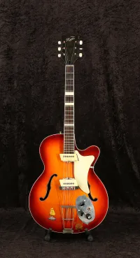 Hoyer Jazz 1962 Electric guitar [June 28, 2023, 1:29 pm]