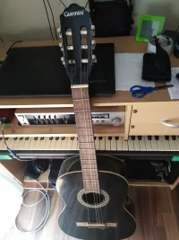 Giannini  Acoustic guitar [July 11, 2023, 5:33 pm]