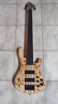 Santander Serie pro fl 5 Bass guitar 5 strings [July 21, 2023, 3:54 pm]