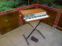 Philips Csöves 1965 Elektrische Orgel [August 31, 2023, 5:52 pm]