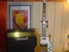 Indie  Elektrická gitara [March 25, 2012, 8:43 pm]