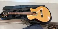 Richwood RC 16 Electro-acoustic classic guitar [October 6, 2023, 10:53 pm]