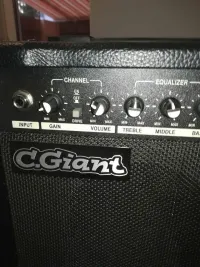 C-Giant M20 Guitar combo amp [September 22, 2023, 12:02 pm]