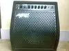 MEGA DL-30R Guitar amplifier [March 28, 2012, 5:38 pm]
