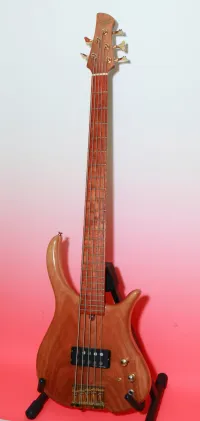 MLP  5-Saiter Bass-Gitarre [November 11, 2023, 11:36 am]